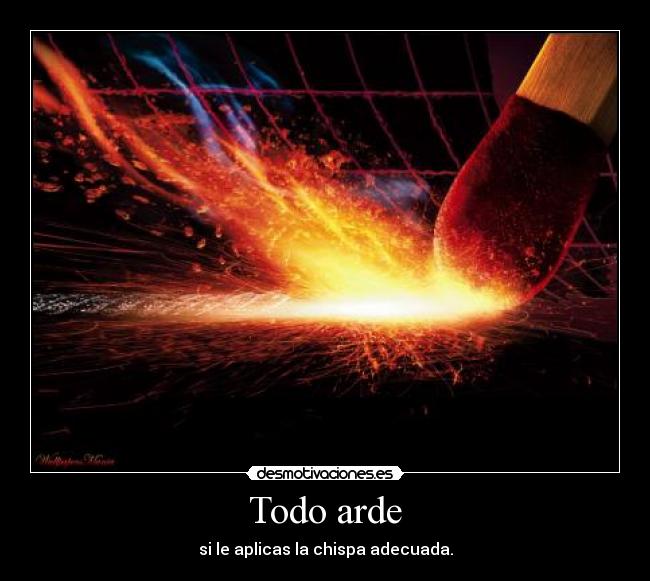 Todo arde - 