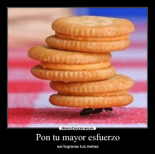 Pon tu mayor esfuerzo - 