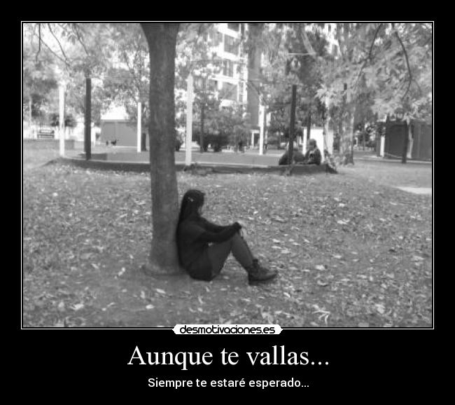 Aunque te vallas... - Siempre te estaré esperado...