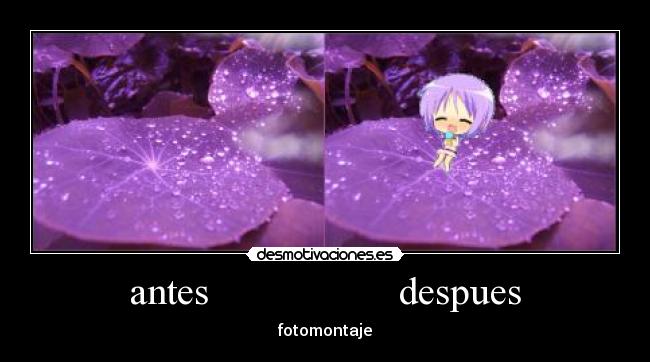 antes despues -