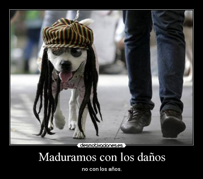 Maduramos con los daños -