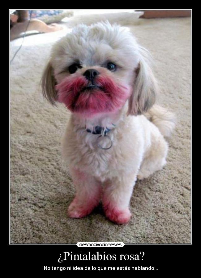 ¿Pintalabios rosa? - 
