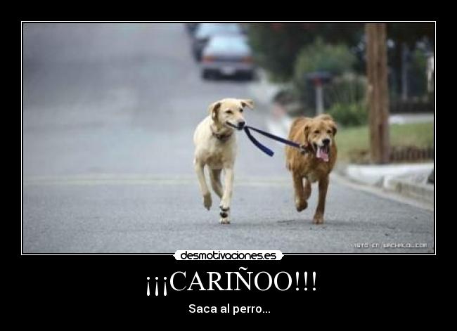 ¡¡¡CARIÑOO!!! - Saca al perro...