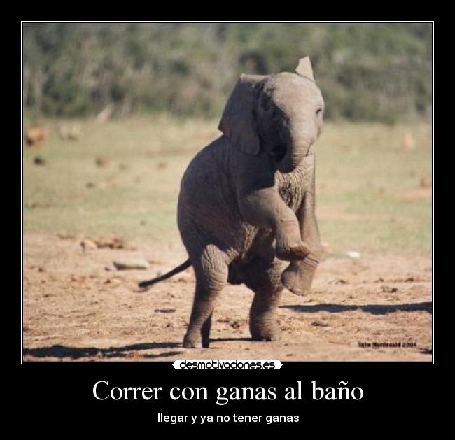 Correr con ganas al baño - 