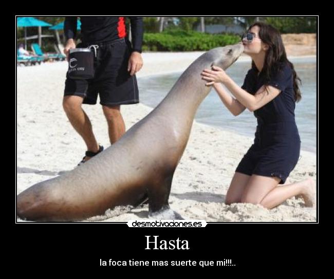 Hasta - 
