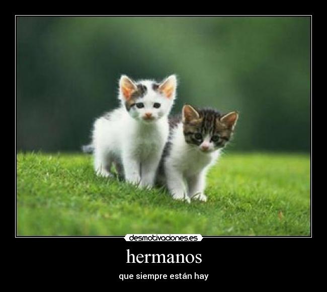 hermanos - 