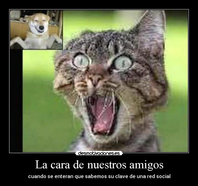 La cara de nuestros amigos - cuando se enteran que sabemos su clave de una red social
