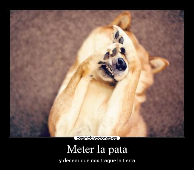 Meter la pata - y desear que nos trague la tierra