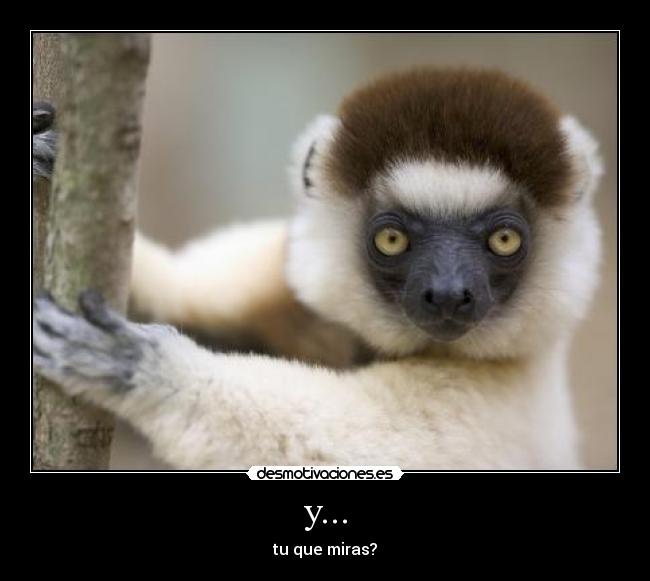 carteles xicadelmar desmotivaciones