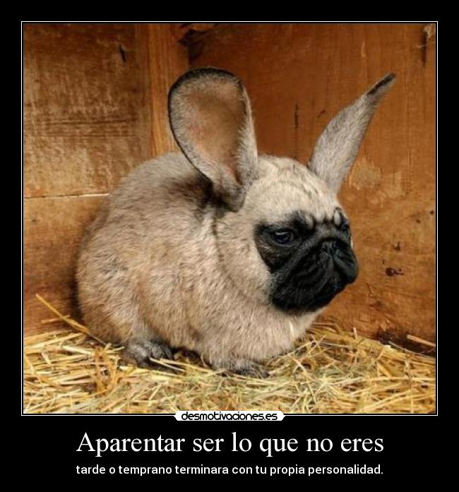 Aparentar ser lo que no eres - tarde o temprano terminara con tu propia personalidad.