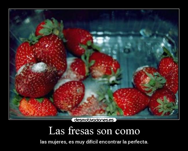 Las fresas son como - las mujeres, es muy difícil encontrar la perfecta.