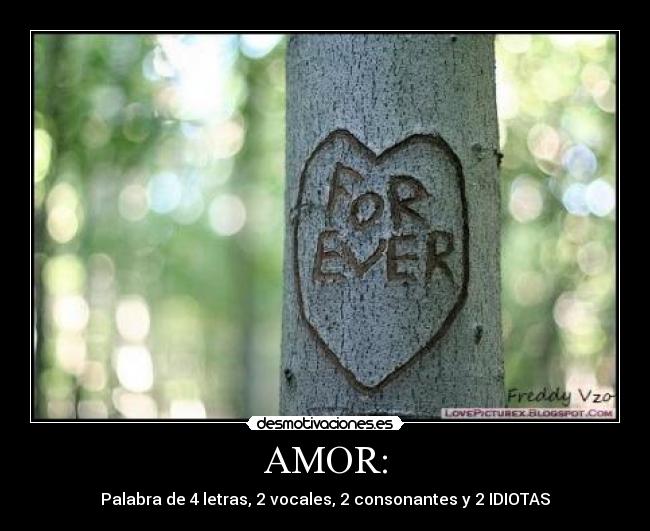 AMOR: -