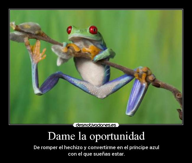 Dame la oportunidad -