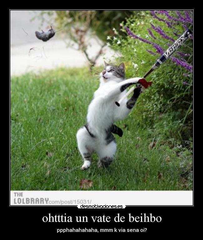 ohtttia un vate de beihbo - ppphahahahaha, mmm k via sena oi?