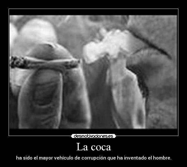 La coca - ha sido el mayor vehículo de corrupción que ha inventado el hombre.