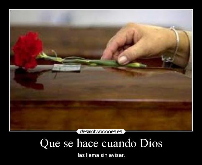 carteles dios sucumbir desmotivaciones