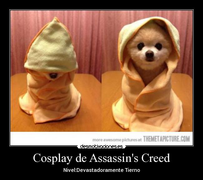Cosplay de Assassins Creed - Nivel:Devastadoramente Tierno