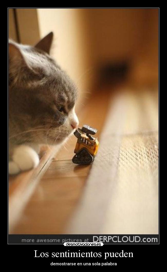 Los sentimientos pueden - demostrarse en una sola palabra