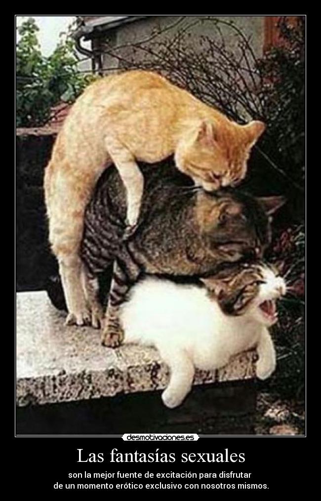 Las fantasías sexuales - son la mejor fuente de excitación para disfrutar
de un momento erótico exclusivo con nosotros mismos.