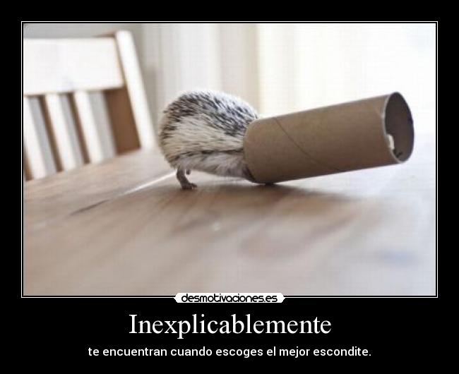 Inexplicablemente - 