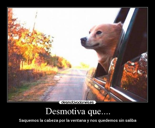 Desmotiva que.... -