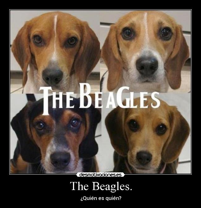 The Beagles. -