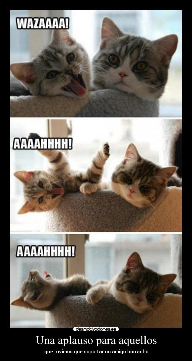 carteles gatito requete loco desmotivaciones