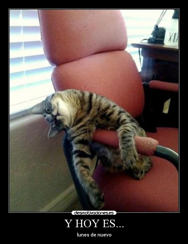 Y HOY ES... - lunes de nuevo