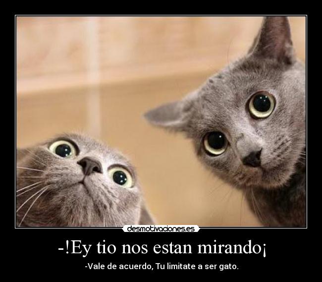 -!Ey tio nos estan mirando¡ - 