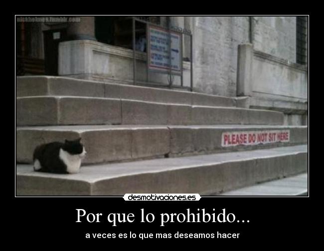 Por que lo prohibido... -