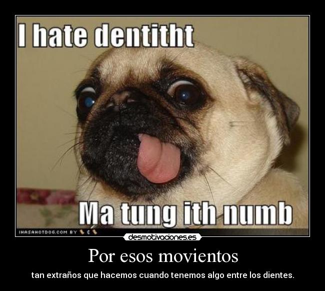 carteles 556sara desmotivaciones