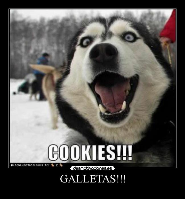 GALLETAS!!! - 