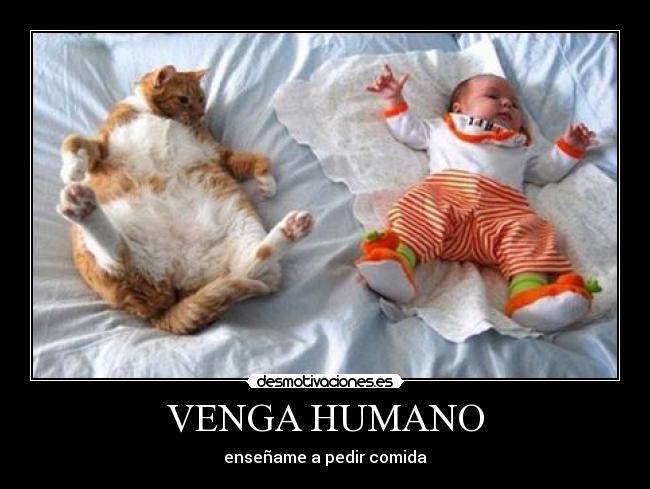 VENGA HUMANO - enseñame a pedir comida
