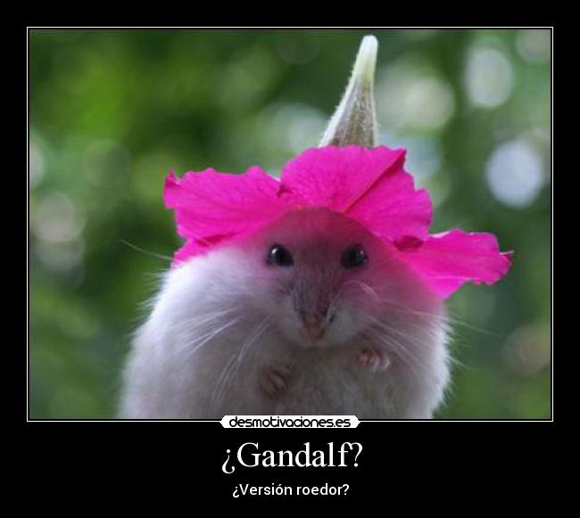 carteles gandalf roedor gibson2528 desmotivaciones