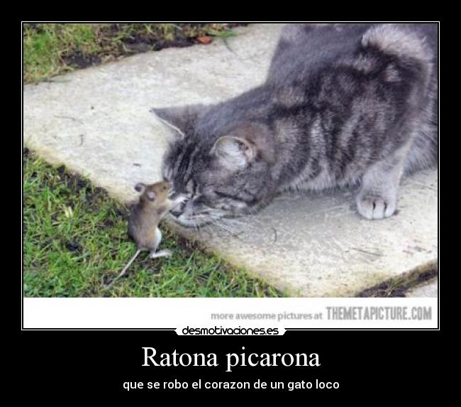 carteles waltr desmotivaciones