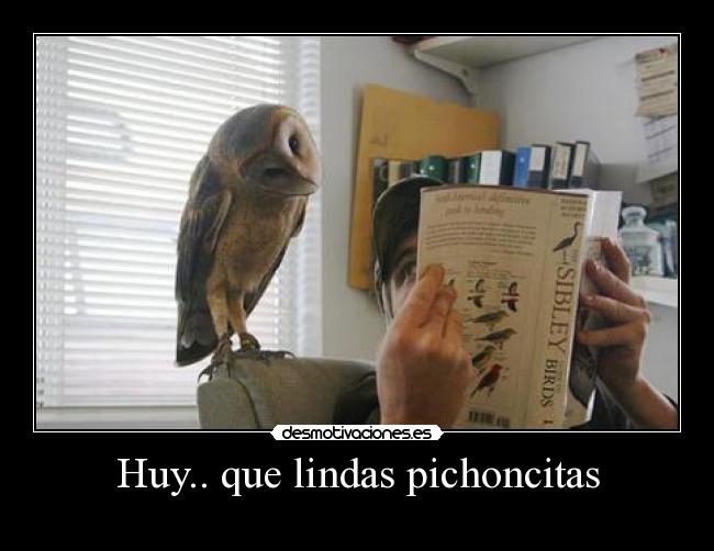 Huy.. que lindas pichoncitas -