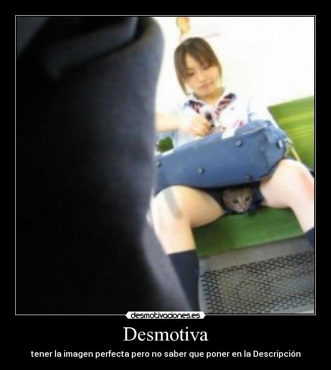 Desmotiva - tener la imagen perfecta pero no saber que poner en la Descripción
