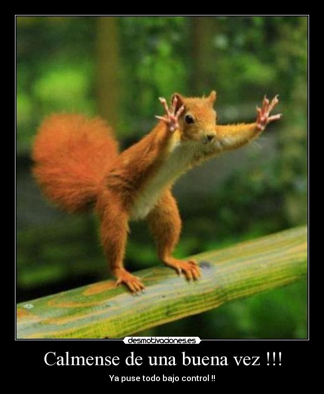 carteles ardilla loca desmotivaciones