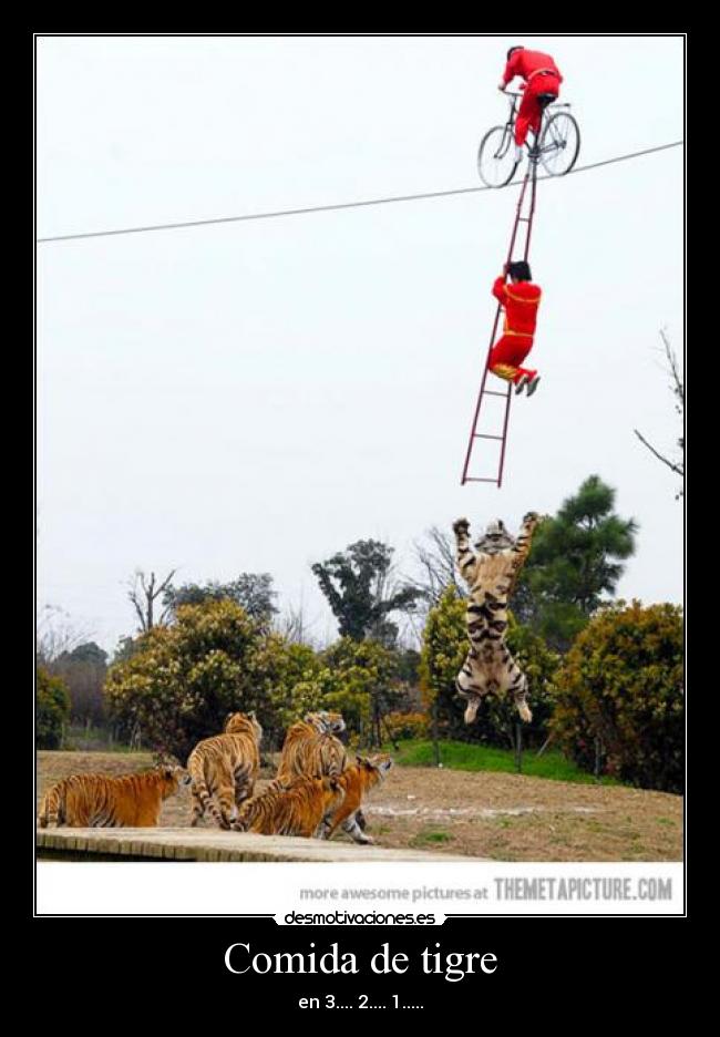 carteles comida hhjhj desmotivaciones