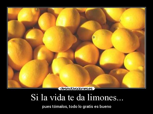 carteles vida ytyty desmotivaciones