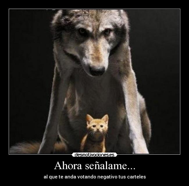 Ahora señalame... -