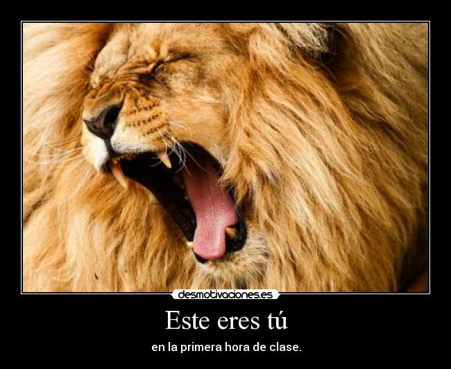 Este eres tú - en la primera hora de clase.
