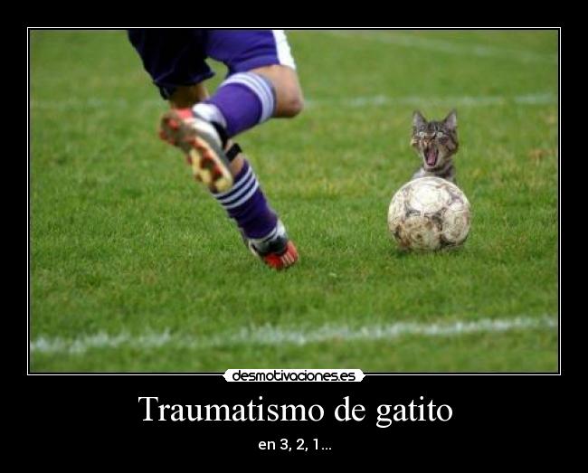 Traumatismo de gatito -