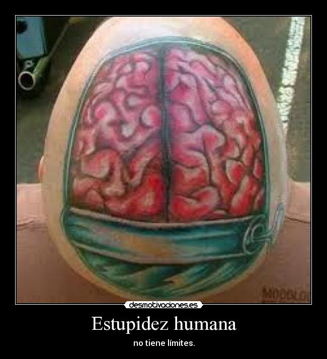 Estupidez humana - 
