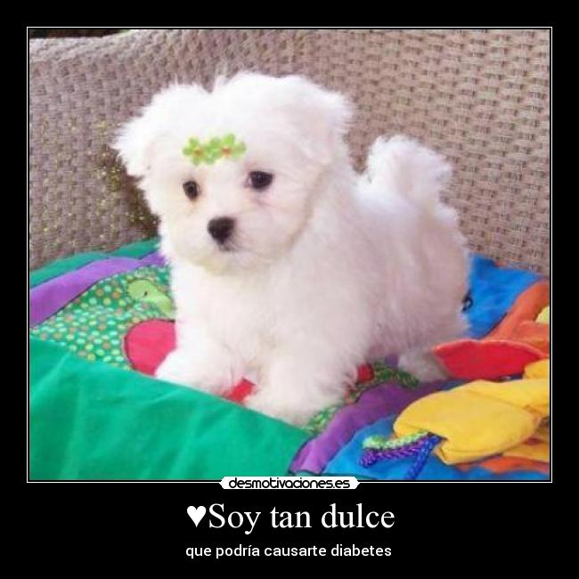 ♥Soy tan dulce - que podría causarte diabetes ♥