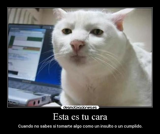 Esta es tu cara - Cuando no sabes si tomarte algo como un insulto o un cumplido.