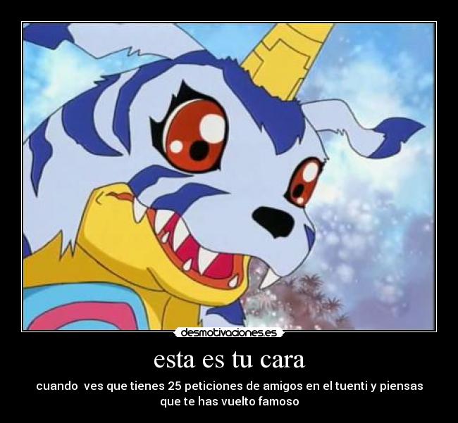 esta es tu cara - cuando  ves que tienes 25 peticiones de amigos en el tuenti y piensas
que te has vuelto famoso