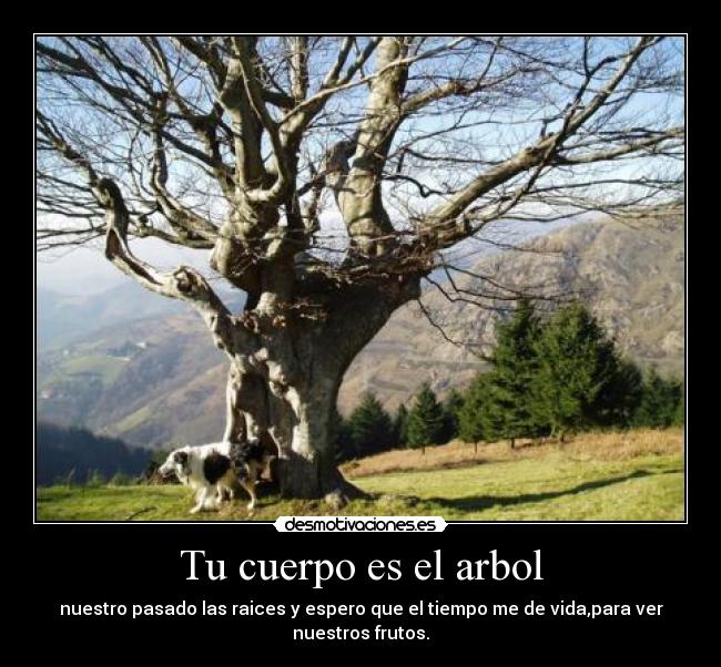 Tu cuerpo es el arbol - 