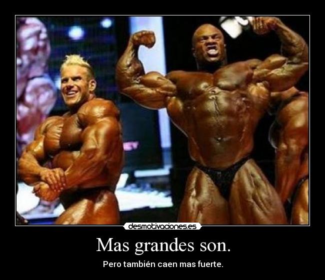 Mas grandes son. -