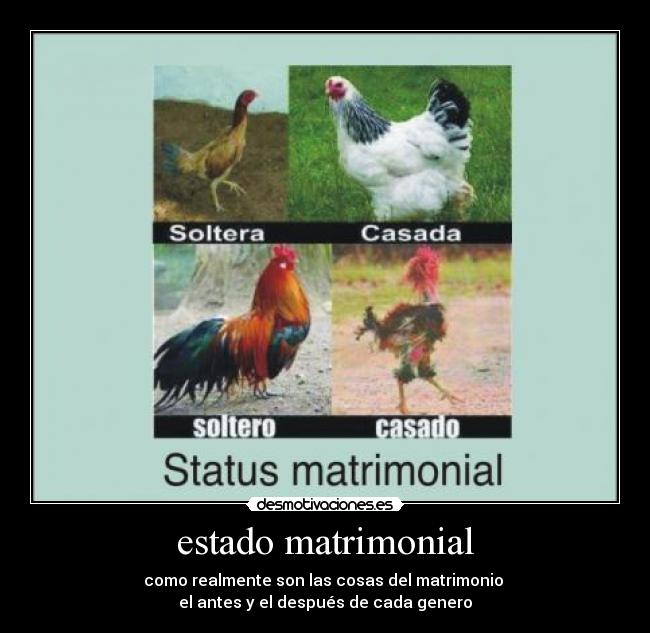 estado matrimonial - como realmente son las cosas del matrimonio
el antes y el después de cada genero